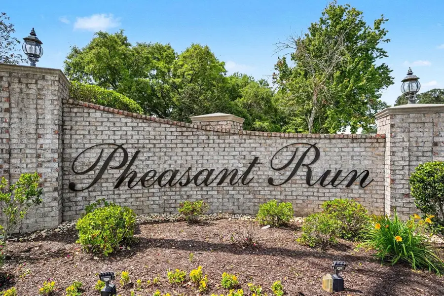 293 Southern Breezes Circle, Murrells Inlet, SC 29576 - #2