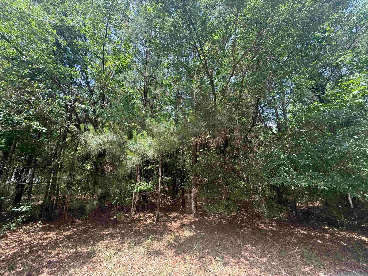 Lot 1 Brantly Rd., Andrews, SC 29510 - #1