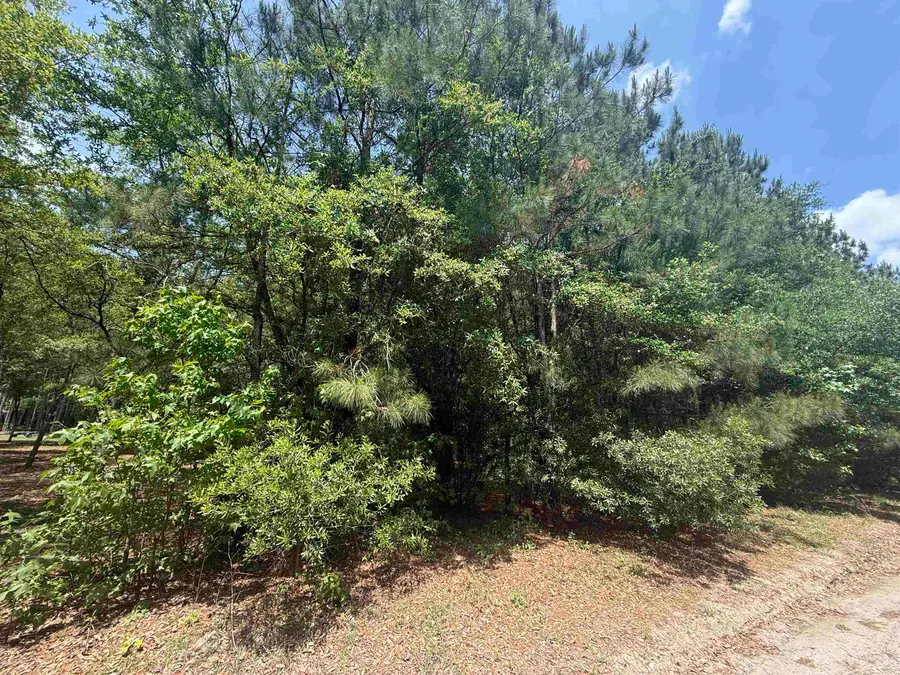 Lot 1 Brantly Rd., Andrews, SC 29510 - #2