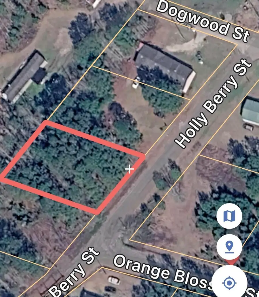 TBD Holly Berry Ct., Andrews, SC 29510 - #2