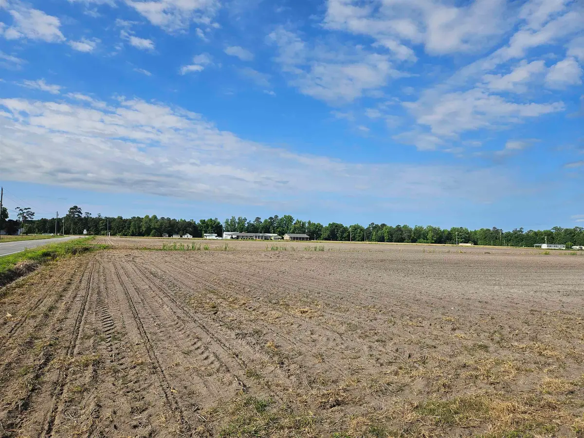 74.03ac Highway 917, Nichols, SC 29581 - #1