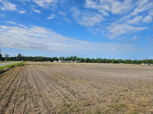 74.03ac Highway 917, Nichols, SC 29581