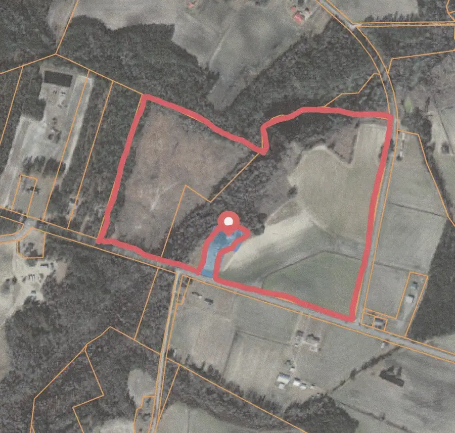 74.03ac Highway 917, Nichols, SC 29581 - #3