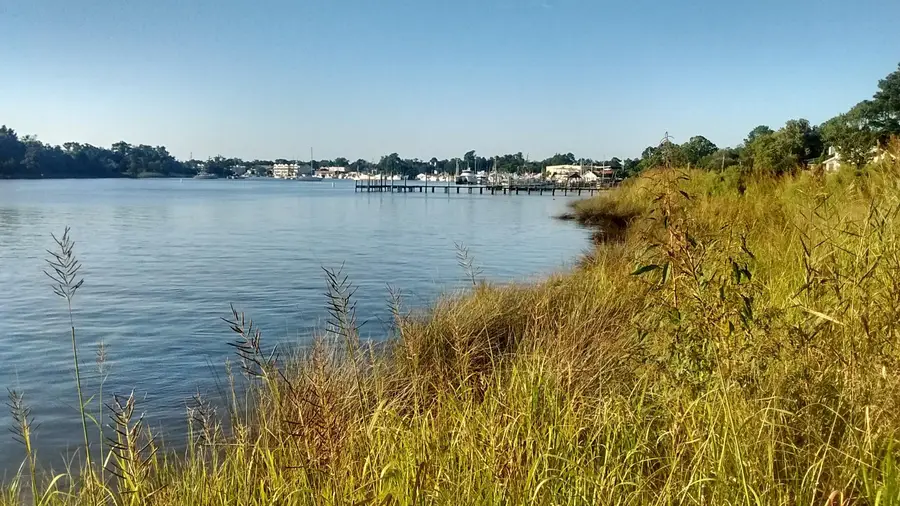 258 Winyah St., Georgetown, SC 29440 - #3