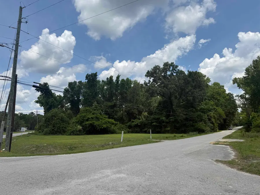 26 W Gapway Rd., Andrews, SC 29510 - #3