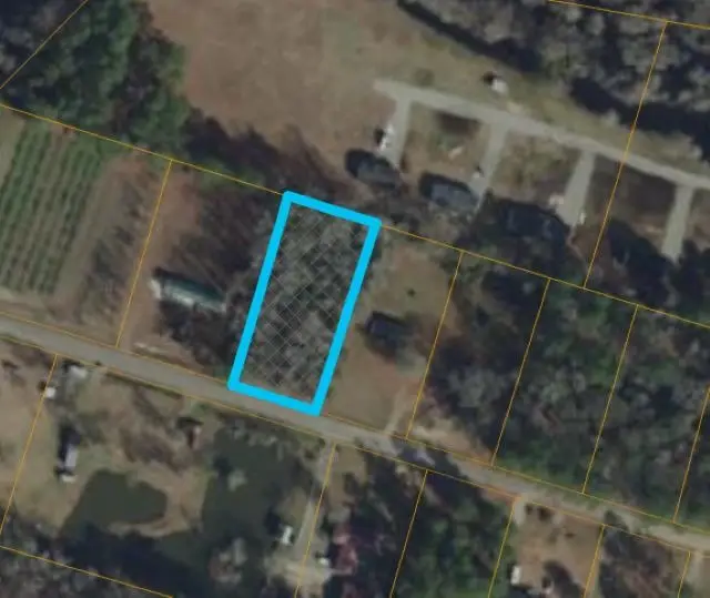 TBD Amhurst Rd., Galivants Ferry, SC 29544 - #1