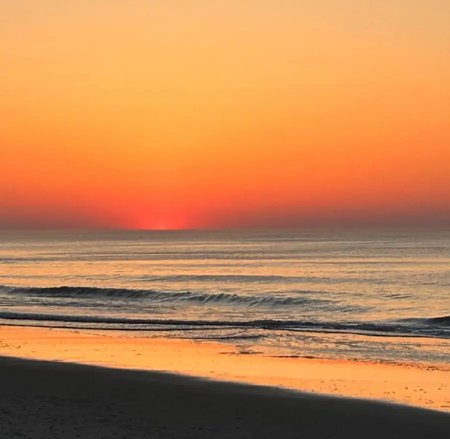 2401 S Ocean Blvd. #1170, Myrtle Beach, SC 29577 - #2