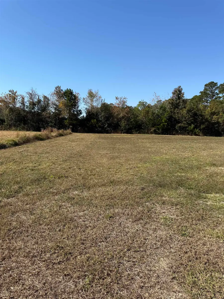 118 Quigley Pl, Aynor, SC 29511 - #2