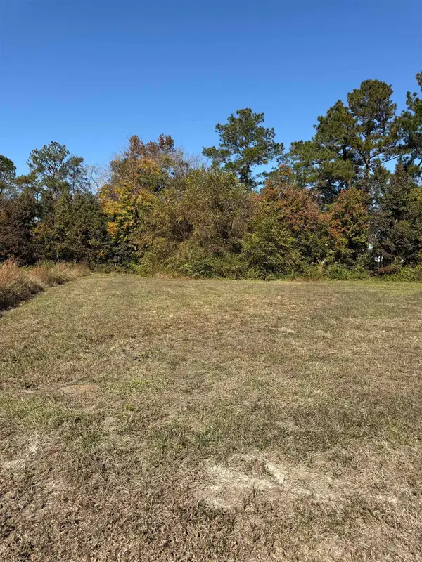 112 Quigley Pl, Aynor, SC 29511