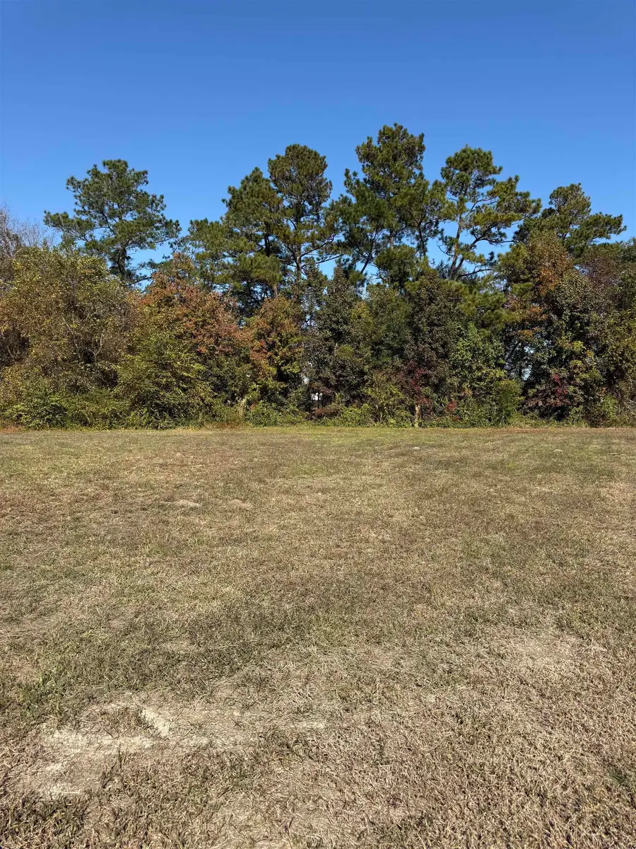 112 Quigley Pl, Aynor, SC 29511 - #2