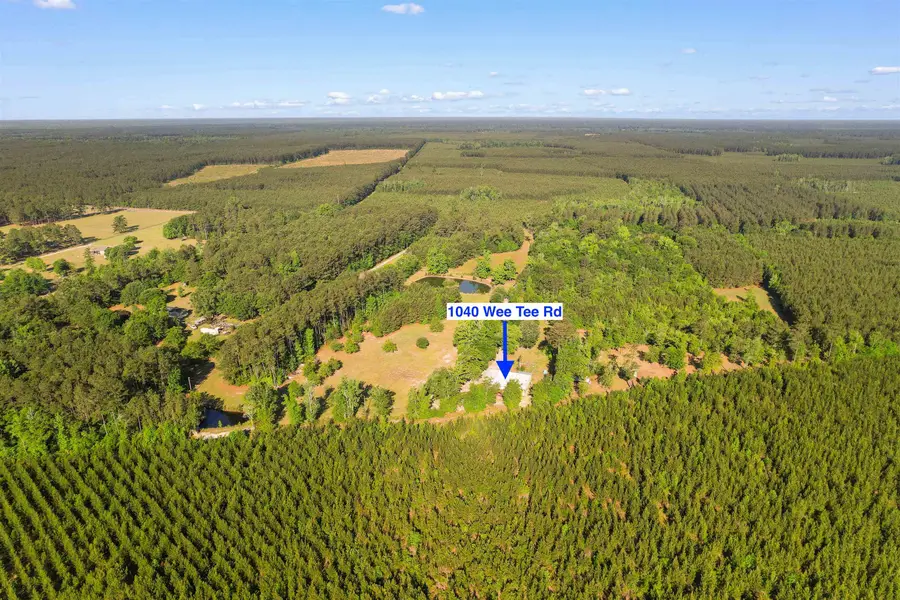 1040 Wee Tee Rd., Andrews, SC 29510 - #2
