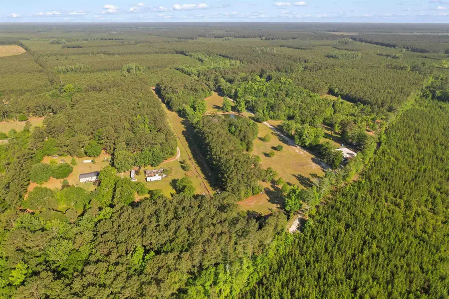 1040 Wee Tee Rd., Andrews, SC 29510 - #3