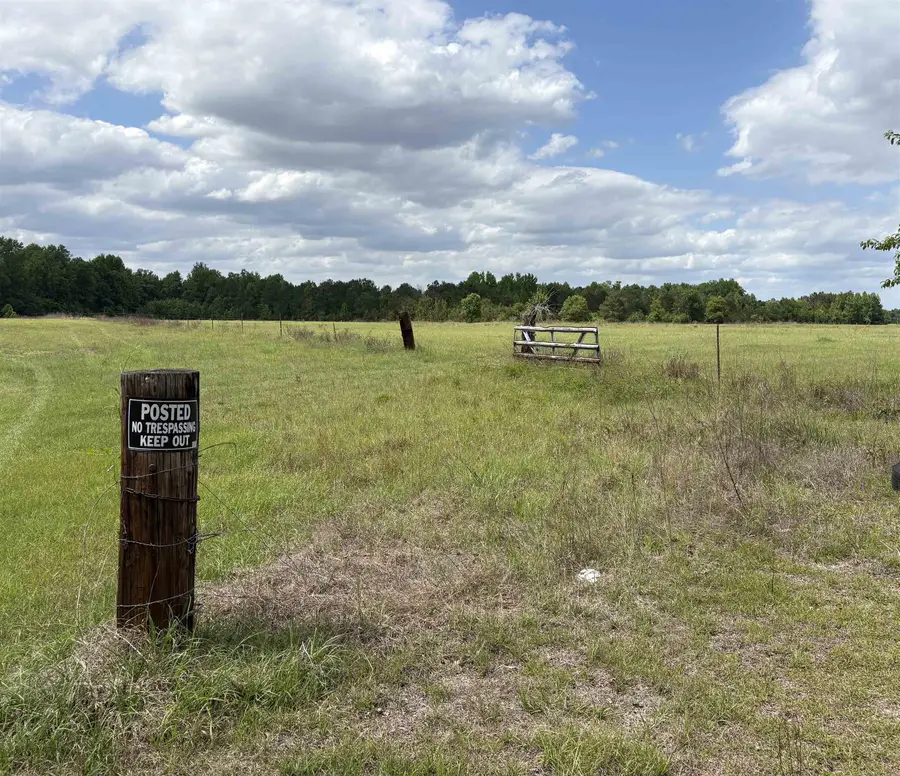 Grady Rd., Mullins, SC 29574 - #3