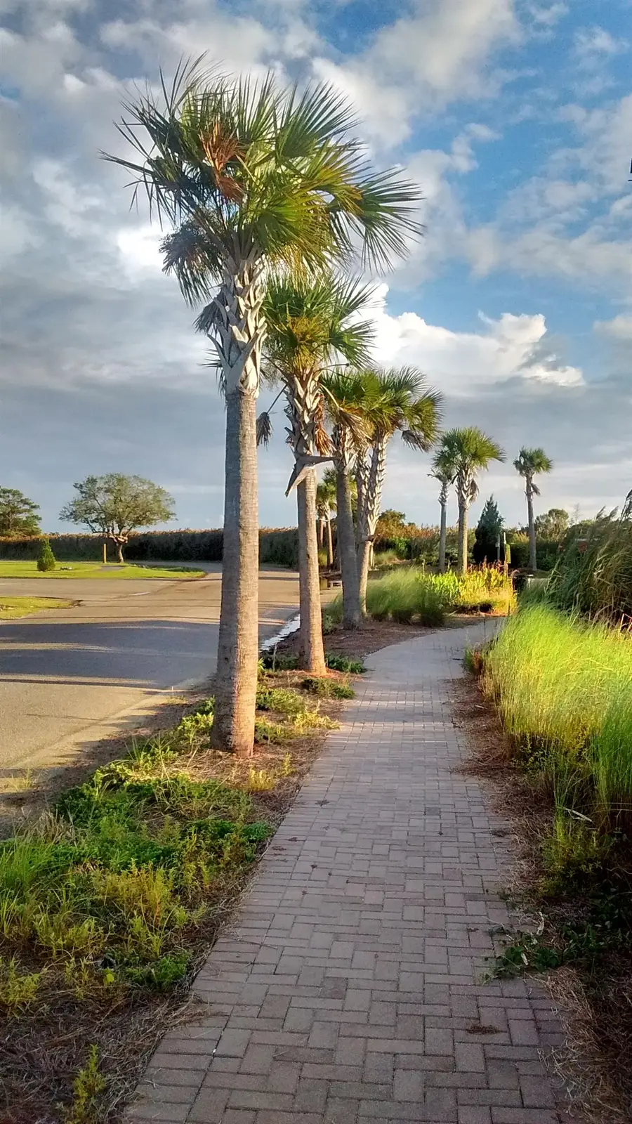 252 &253 Winyah St., Georgetown, SC 29440 - #2