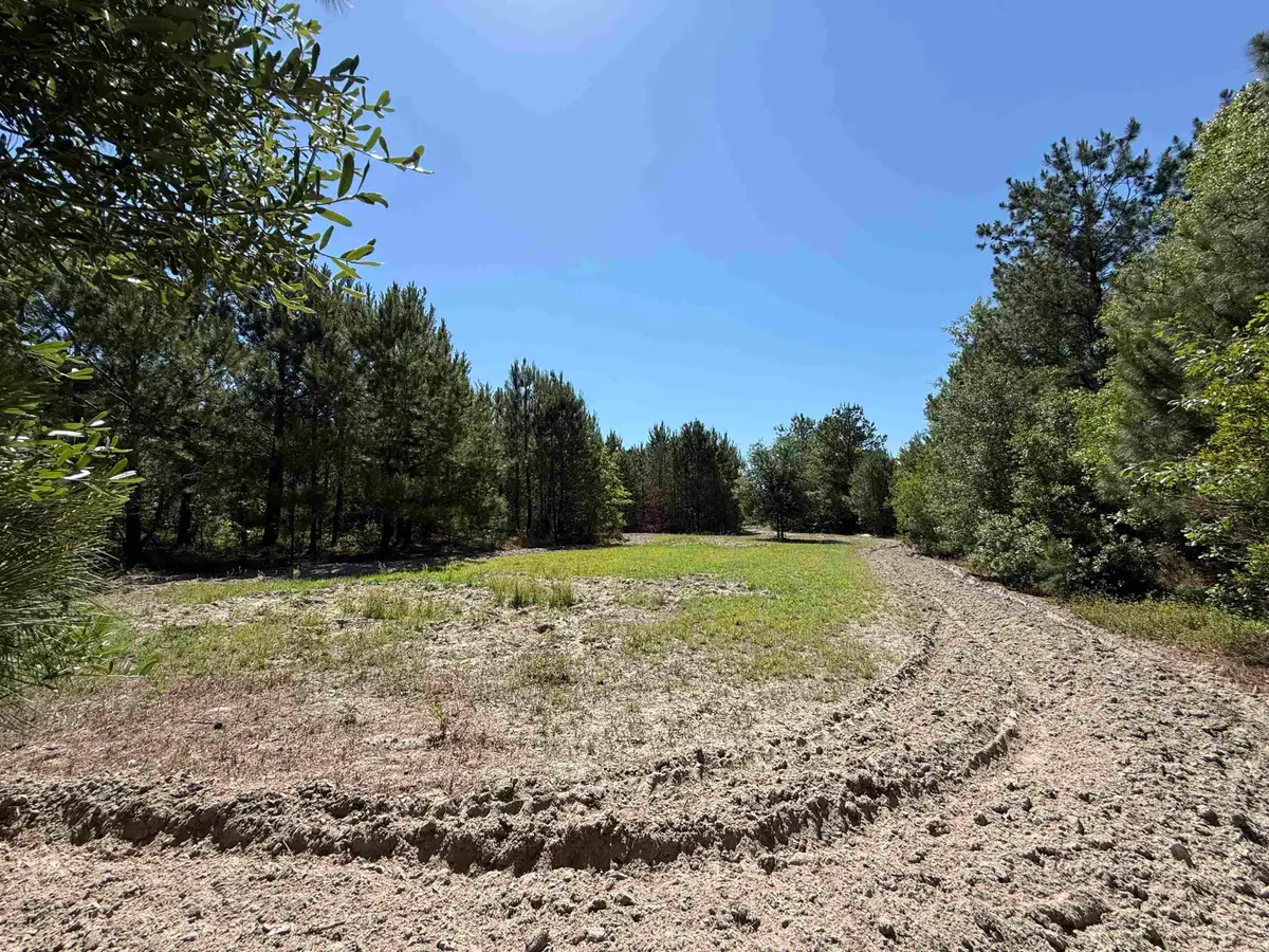 43 Acres - 5432 Juneburn Rd., Manning, SC 29102 - #1