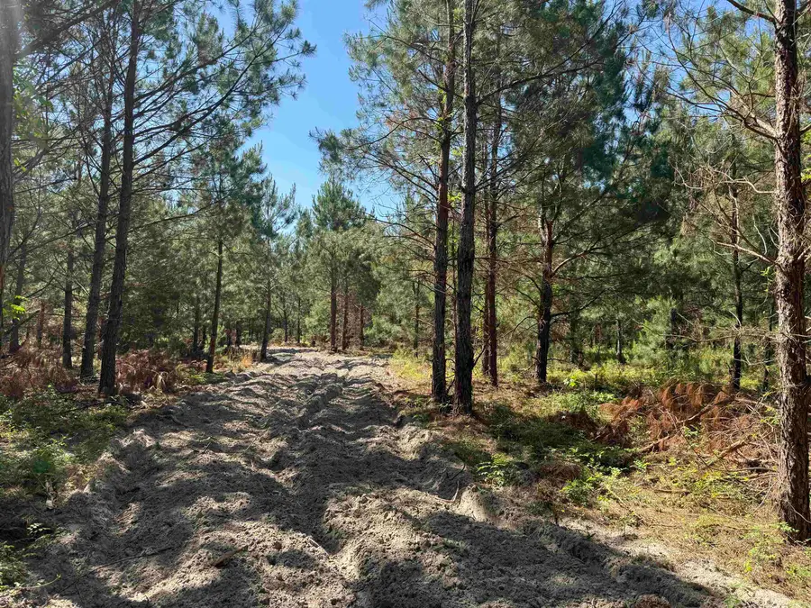43 Acres - 5432 Juneburn Rd., Manning, SC 29102 - #2