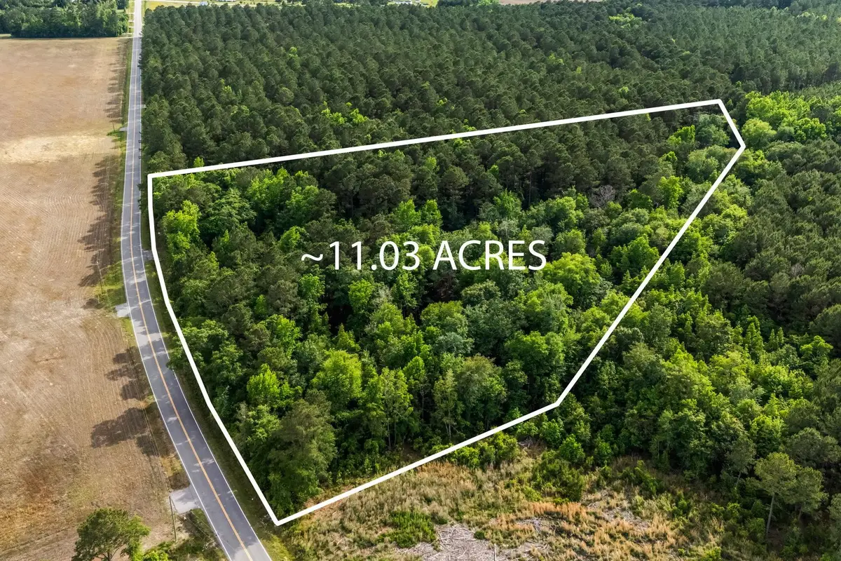 2850 Gause Rd., Loris, SC 29569 - #1