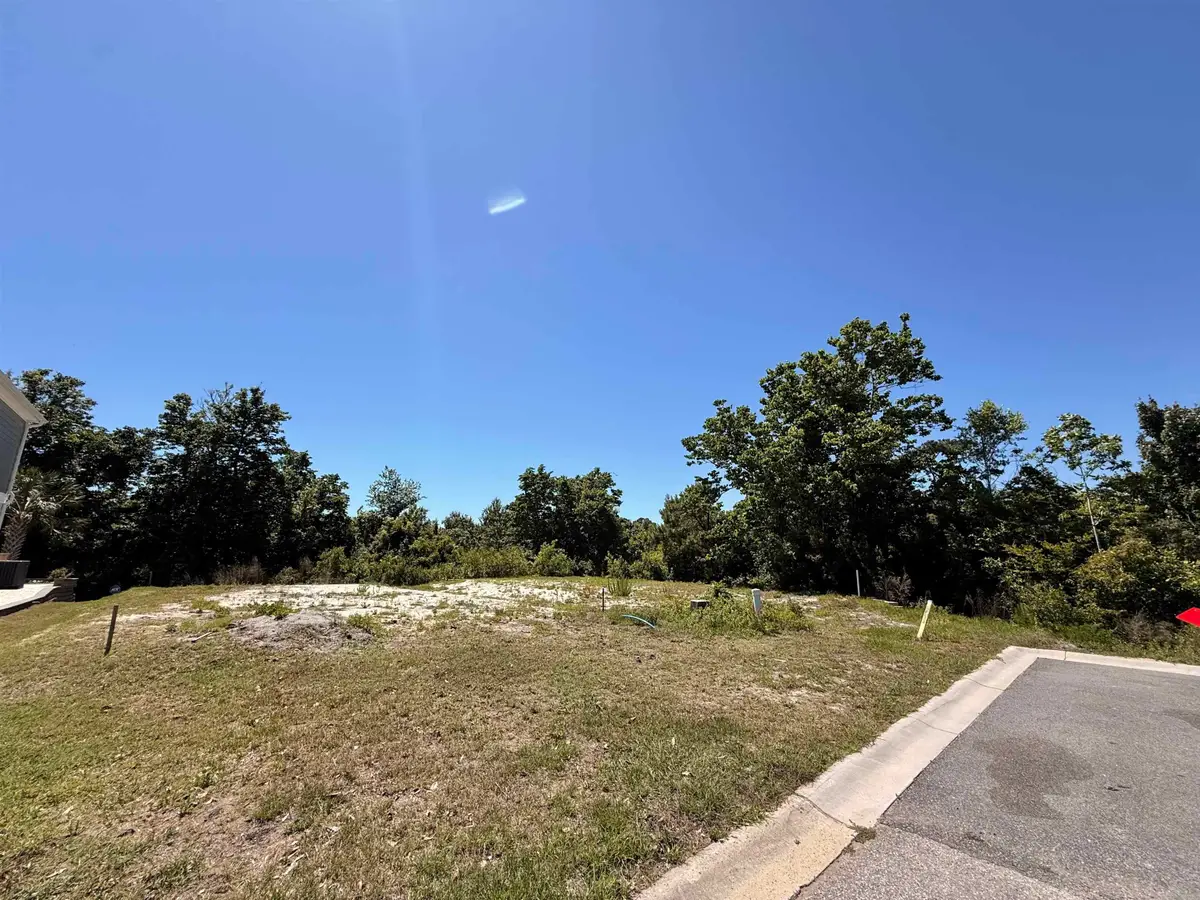 445 & 501 7th Ave. S, North Myrtle Beach, SC 29582 - #1