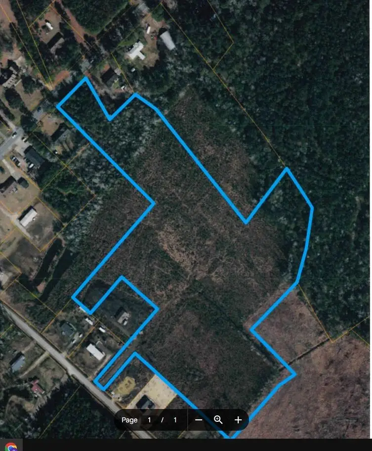 16.94 acres Highway 905, Conway, SC 29526 - #1