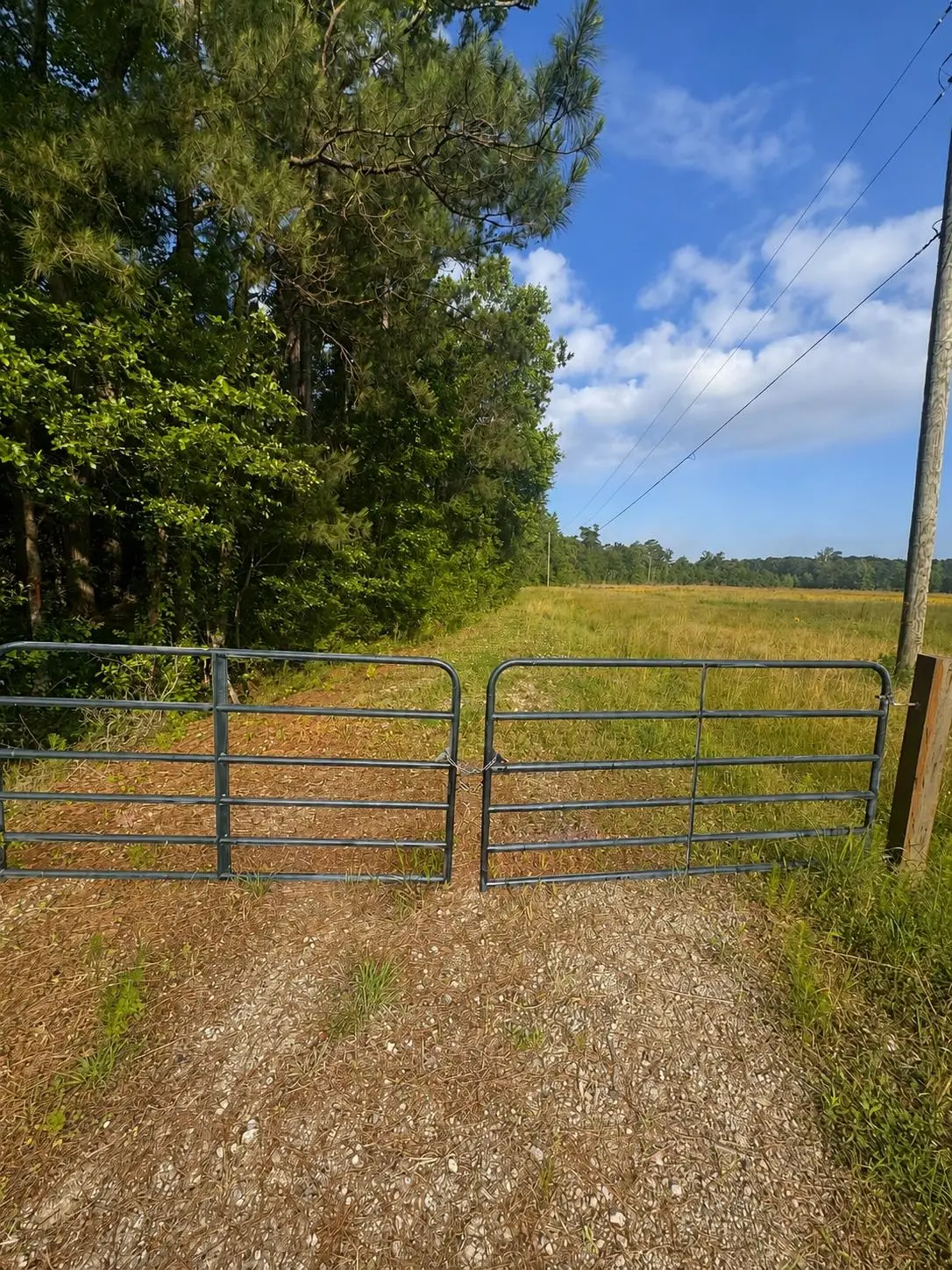 TBD Old Buck Creek Rd., Longs, SC 29568 - #1