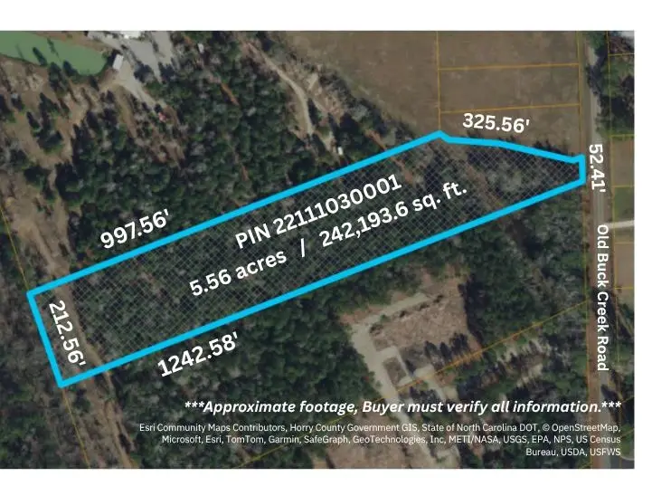 TBD Old Buck Creek Rd., Longs, SC 29568 - #3