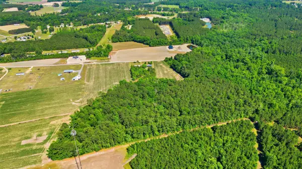 TBD Sandy Ridge Rd., Galivants Ferry, SC 29544