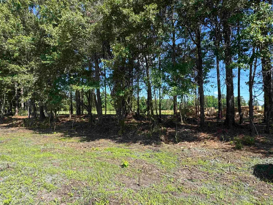 1876 Horry Rd., Conway, SC 29526 - #2