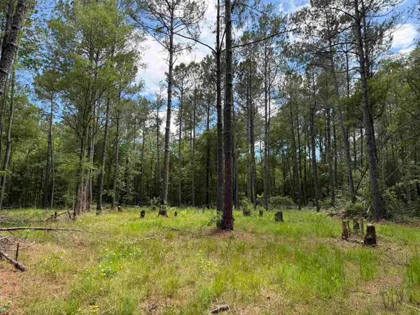 17.8 Acres-5871 Pennyroyal Rd., Georgetown, SC 29440