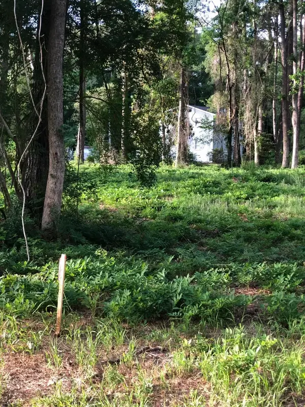 TBD Horseshoe Circle, Conway, SC 29527
