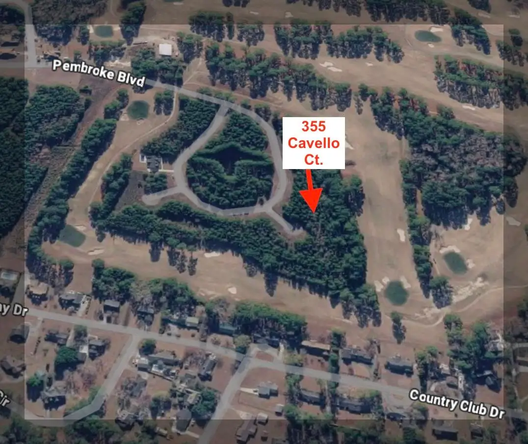 355 Cavello Ct., Johnsonville, SC 29555 - #1