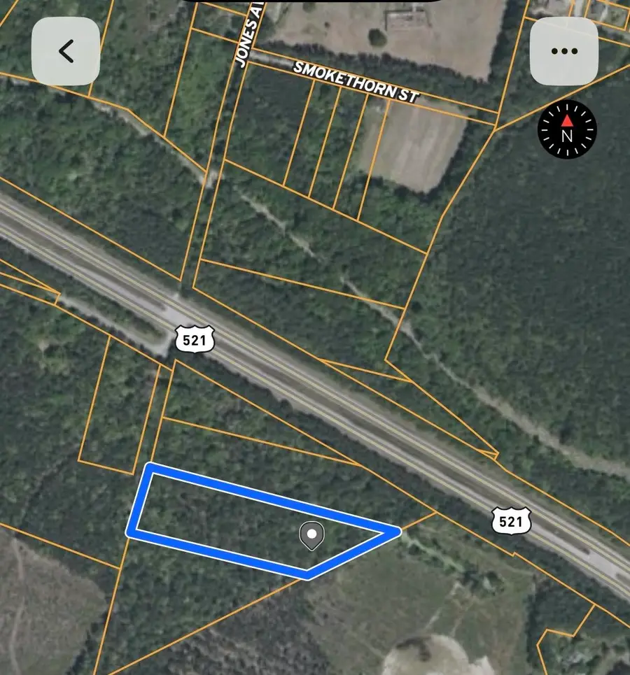 TBD Highway 521, Andrews, SC 29510 - #3