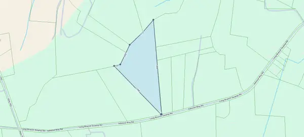 TBD (Tract 1) Long Branch Swamp Rd., Green Sea, SC 29545
