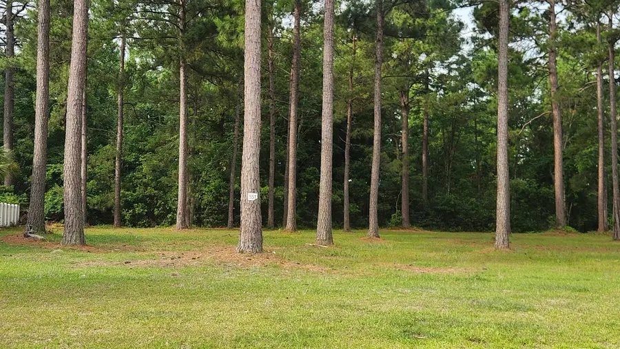 1152 Fiddlehead Way, Myrtle Beach, SC 29579 - #3