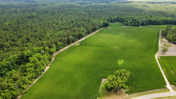 TBD (Tract 6) Long Branch Swamp Rd., Green Sea, SC 29545