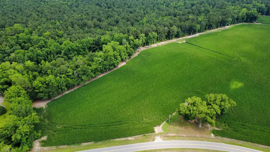 TBD (Tract 6) Long Branch Swamp Rd., Green Sea, SC 29545 - #2