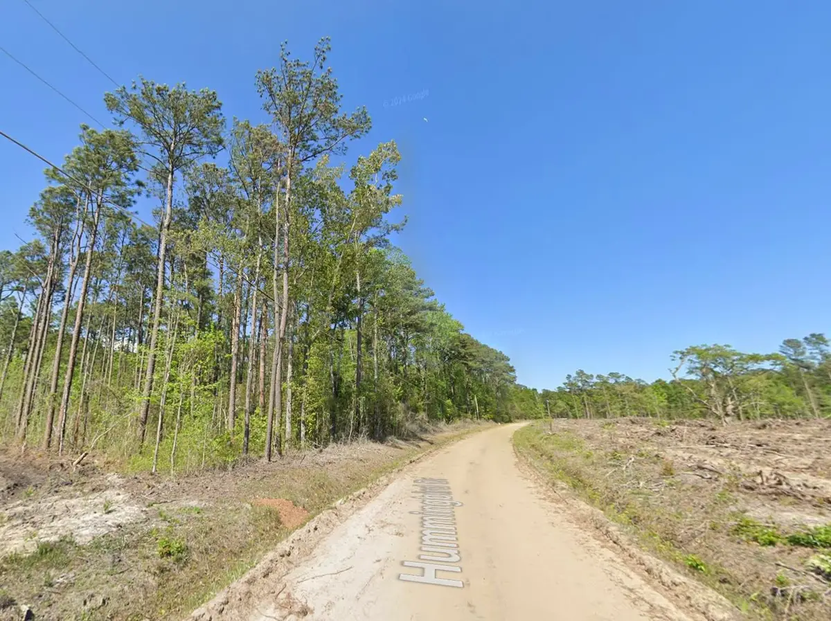 TBD Hummingbird Dr., Georgetown, SC 29440 - #1