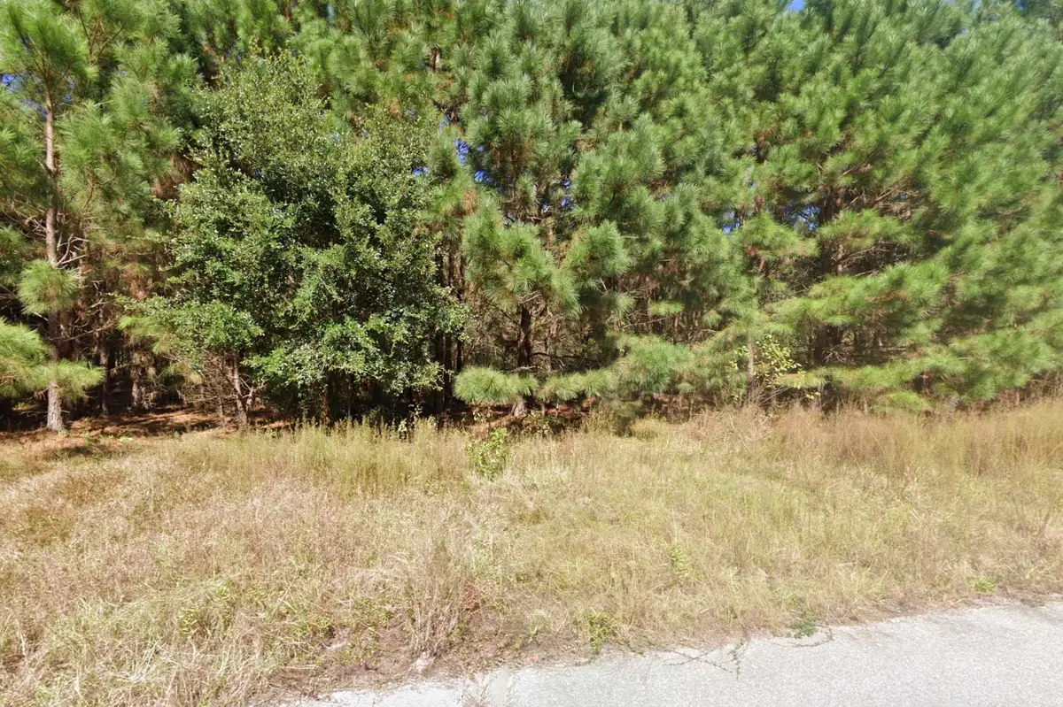 442 Pembroke Blvd., Johnsonville, SC 29555 - #1