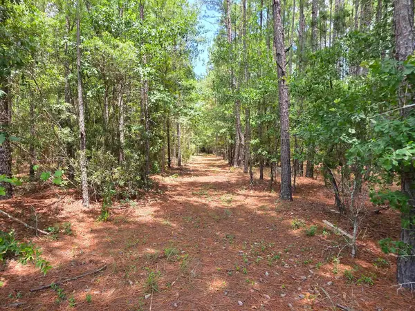 3435 Highway 430, Nichols, SC 29581