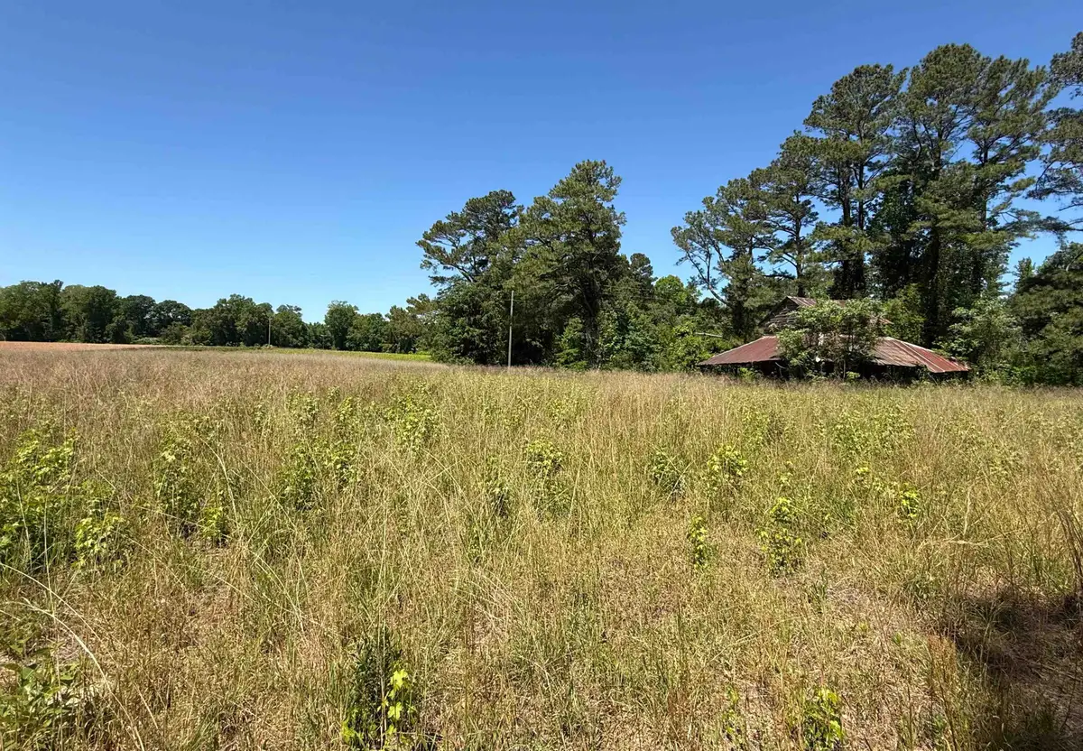 TBD Mitchell Sea Rd., Green Sea, SC 29545 - #1