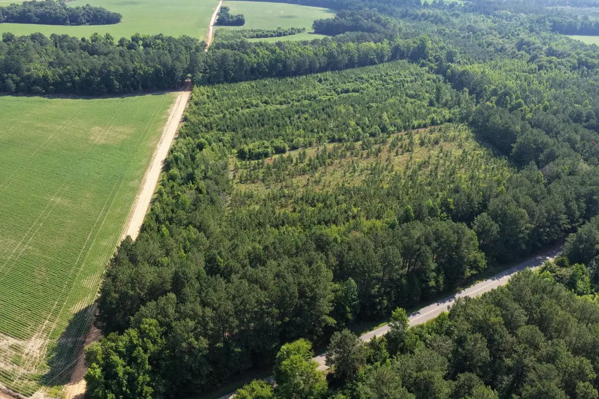 TBD Road 300, Lake View, SC 29563 - #1