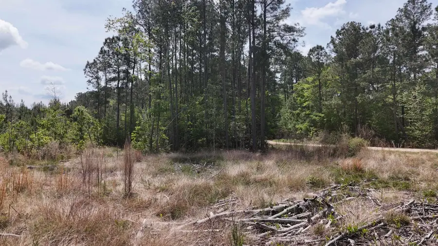 TBD Hope Ct, Gresham, SC 29546 - #3