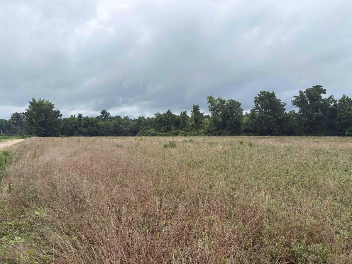 TBD Coney Dr., Longs, SC 29568 - #1