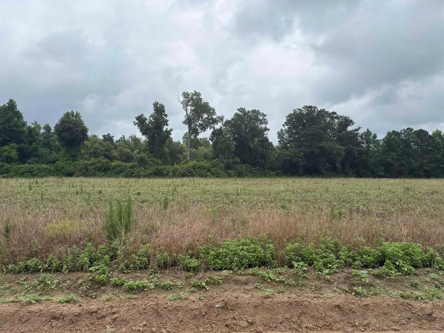 TBD Coney Dr., Longs, SC 29568 - #2