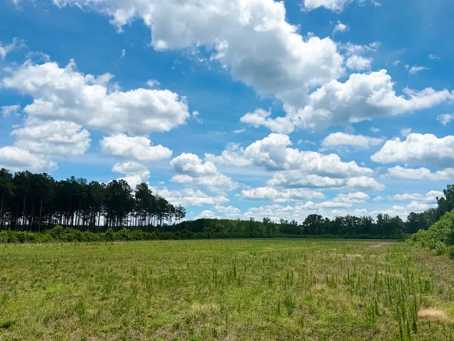 TBD Hwy 9, Marion, SC 29571 - #3