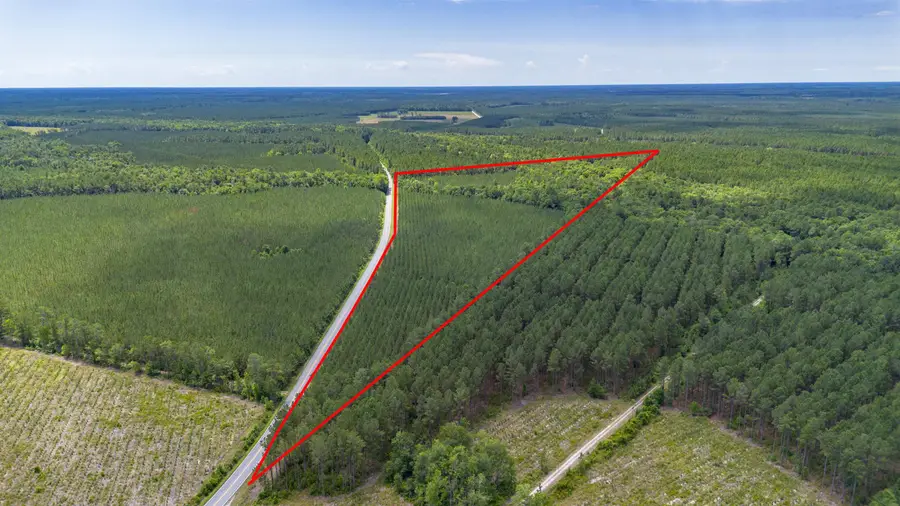 TBD Ten Acre Rd., Andrews, SC 29510 - #2