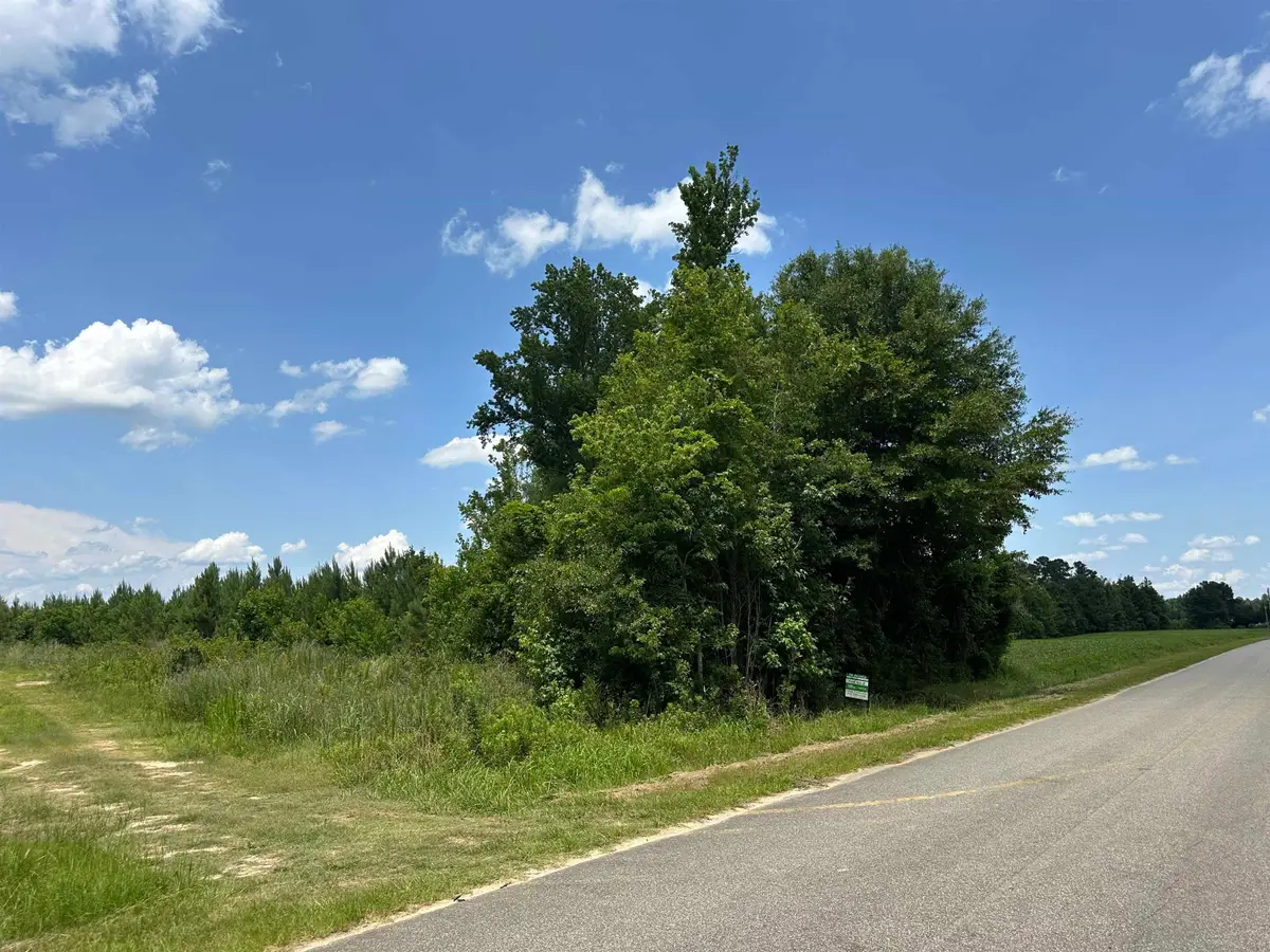 TBD Church Rd., Green Sea, SC 29545 - #1