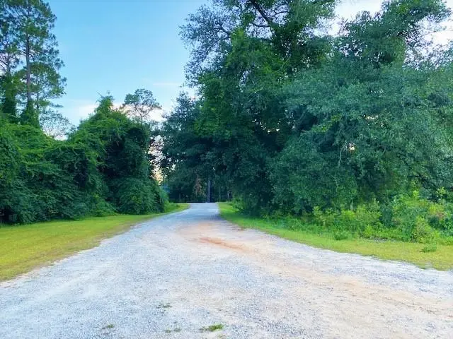 Lot 1 Ivanhoe Pl., Dillon, SC 29536 - #2