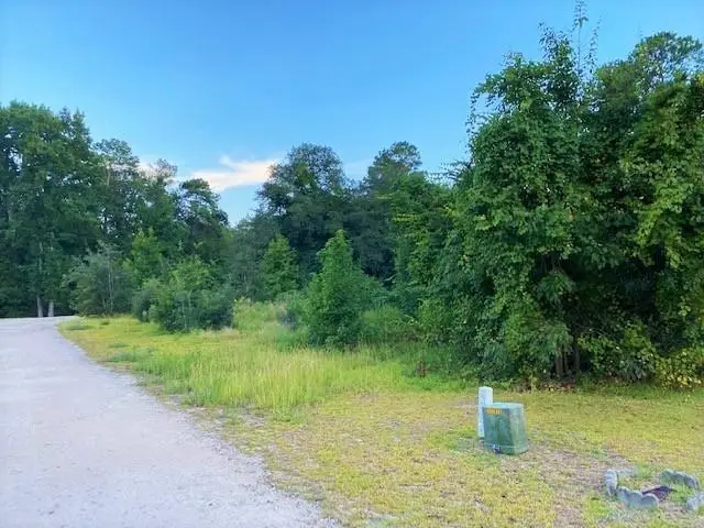 Lot 1 Ivanhoe Pl., Dillon, SC 29536 - #3