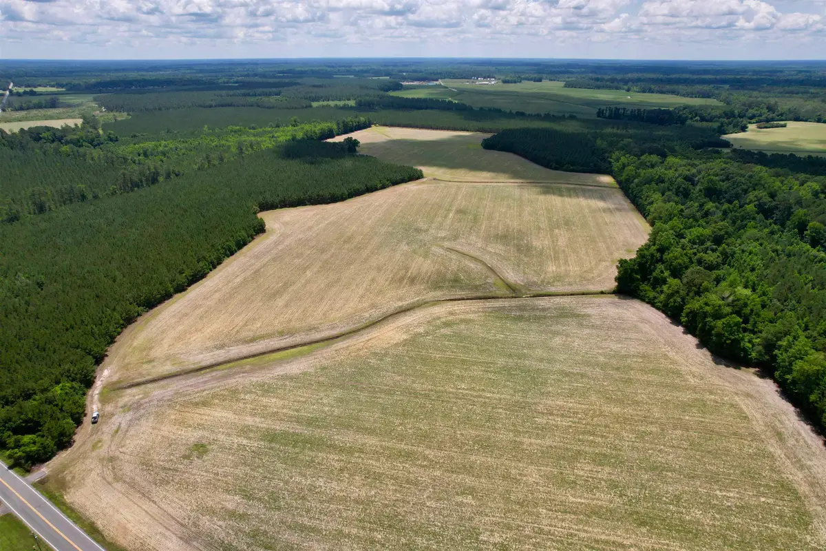 83.03 Acres - Birch Creek Rd., Andrews, SC 29510 - #1