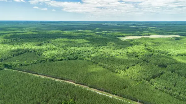 Tract E Ten Acre Rd., Andrews, SC 29510